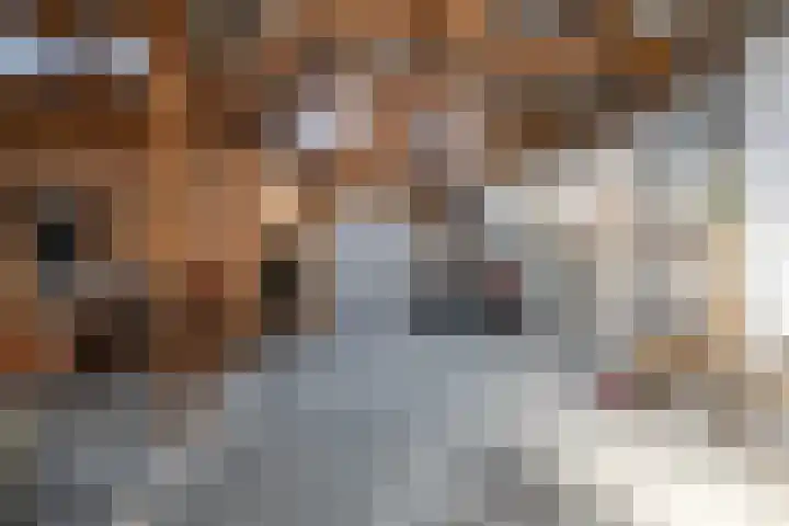 Hoofdweg 27 Harkstede thumbnail 55