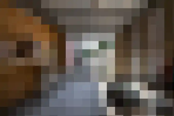 Hoofdweg 27 Harkstede thumbnail 56