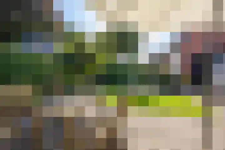 Hoofdweg 27 Harkstede thumbnail 58