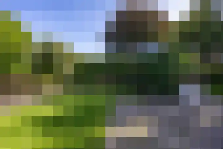 Hoofdweg 27 Harkstede thumbnail 62