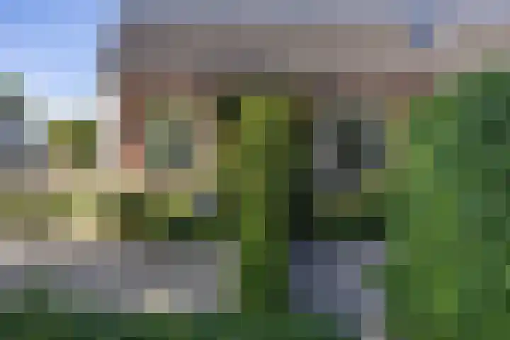 Hoofdweg 27 Harkstede thumbnail 65
