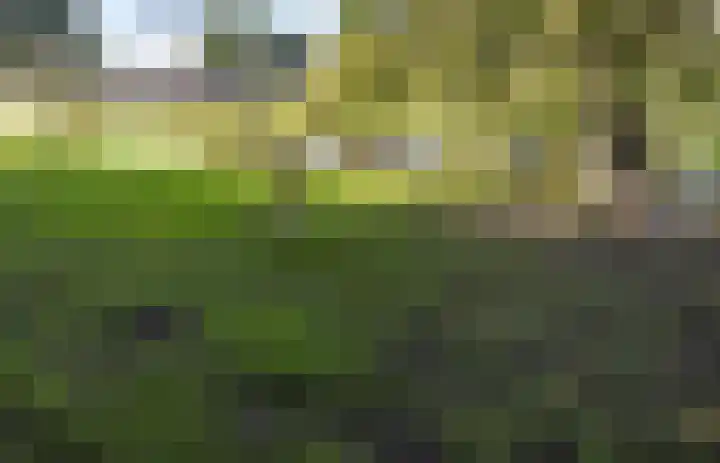 Hoofdweg 27 Harkstede thumbnail 70