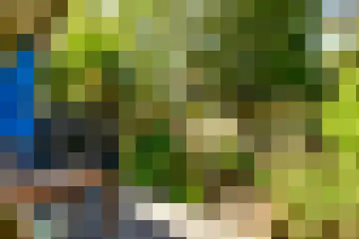 Hoofdweg 271 2 Amsterdam thumbnail 16