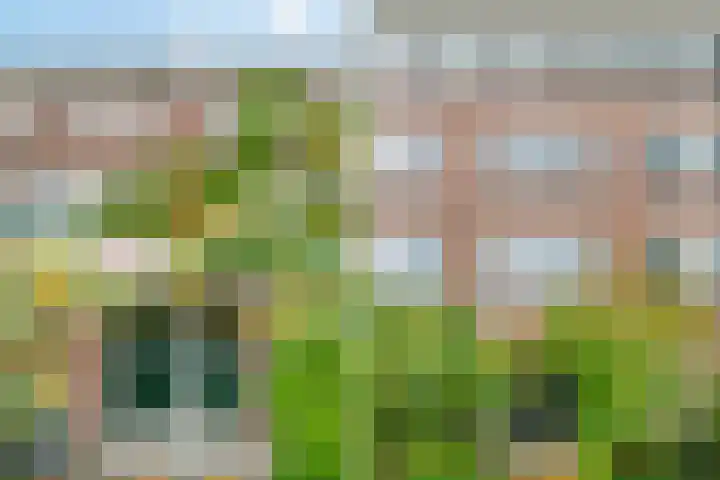 Hoofdweg 273 1 Amsterdam thumbnail 23