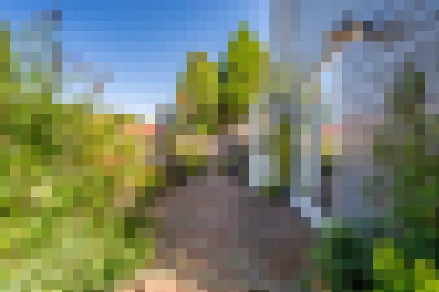 Hoofdweg 273 Bellingwolde thumbnail 10