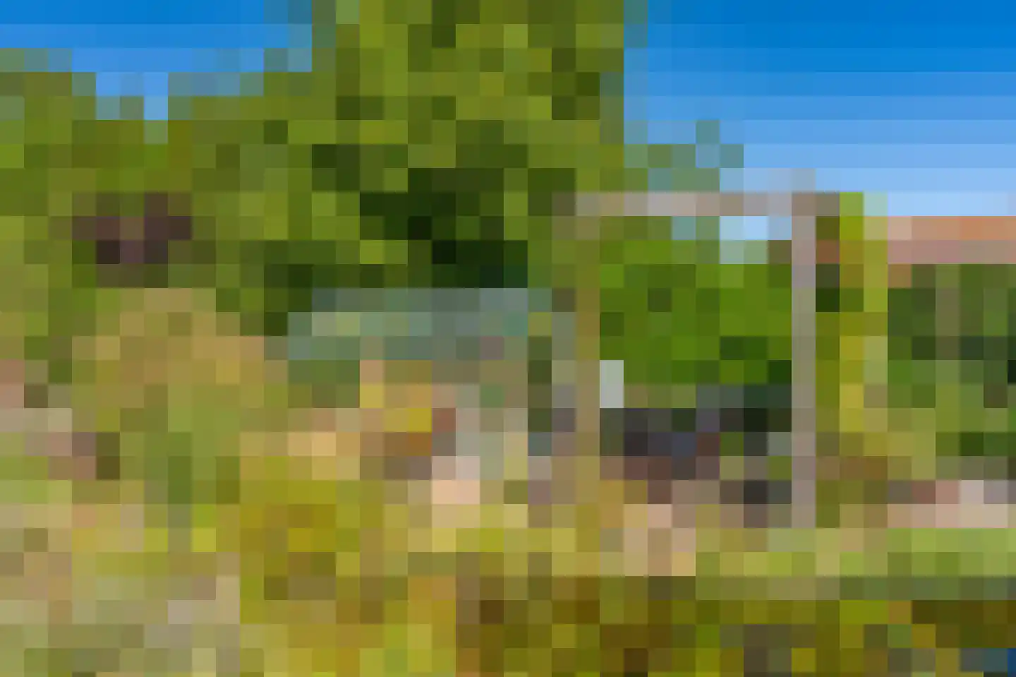 Hoofdweg 273 Bellingwolde thumbnail 16