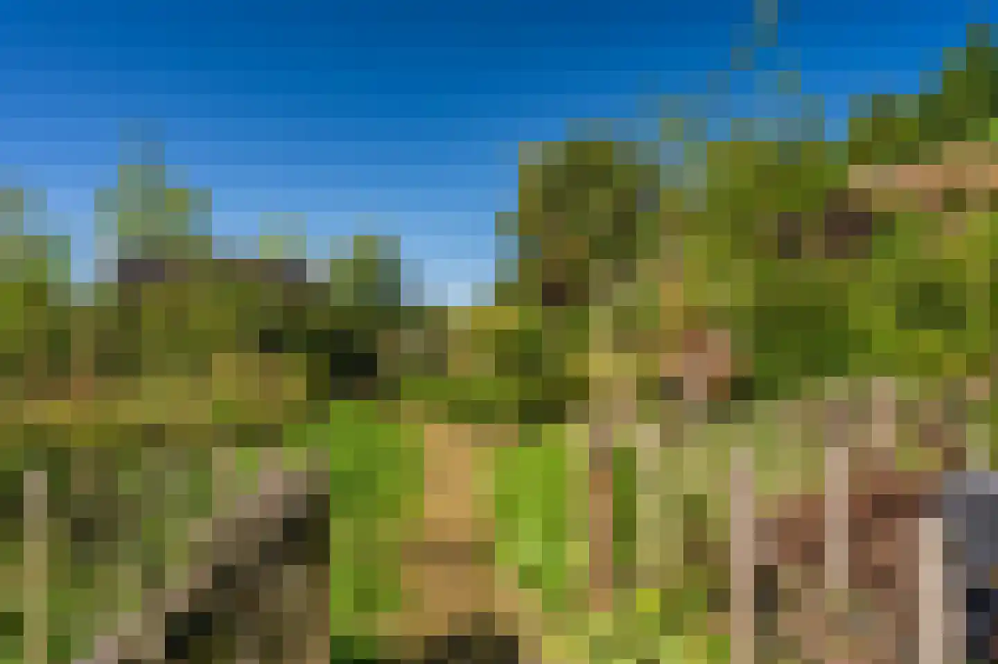 Hoofdweg 273 Bellingwolde thumbnail 17