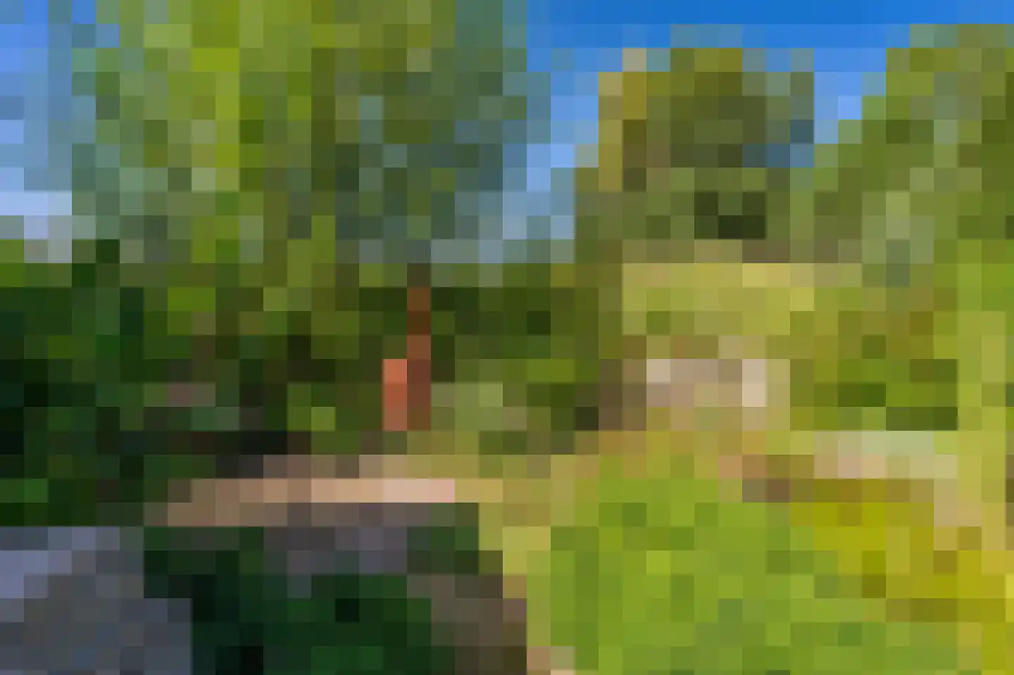 Hoofdweg 273 Bellingwolde thumbnail 19