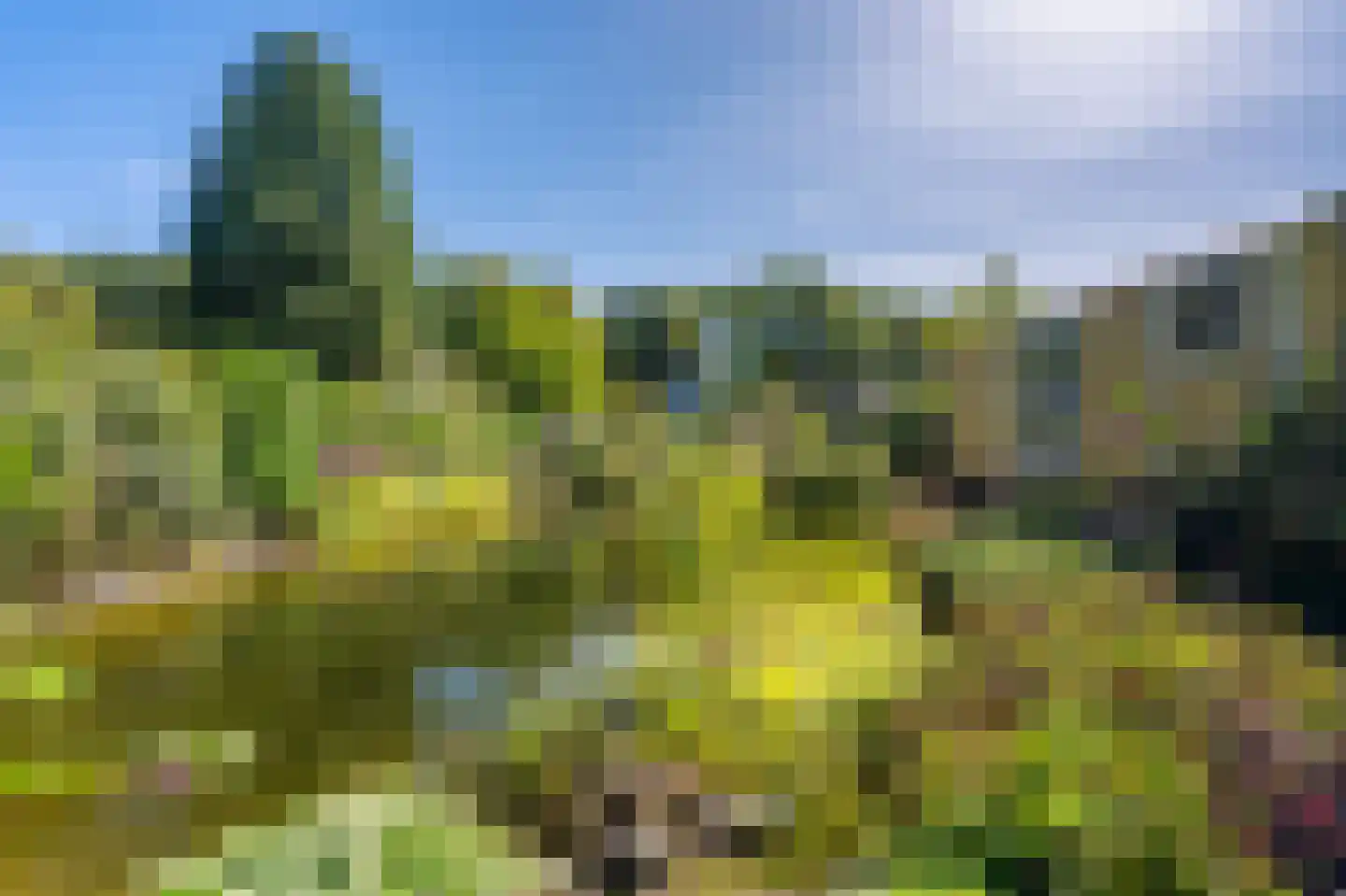 Hoofdweg 273 Bellingwolde thumbnail 20