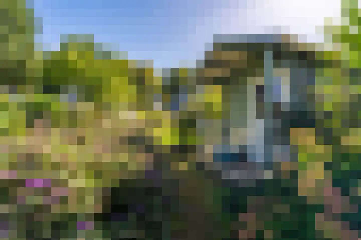 Hoofdweg 273 Bellingwolde thumbnail 21