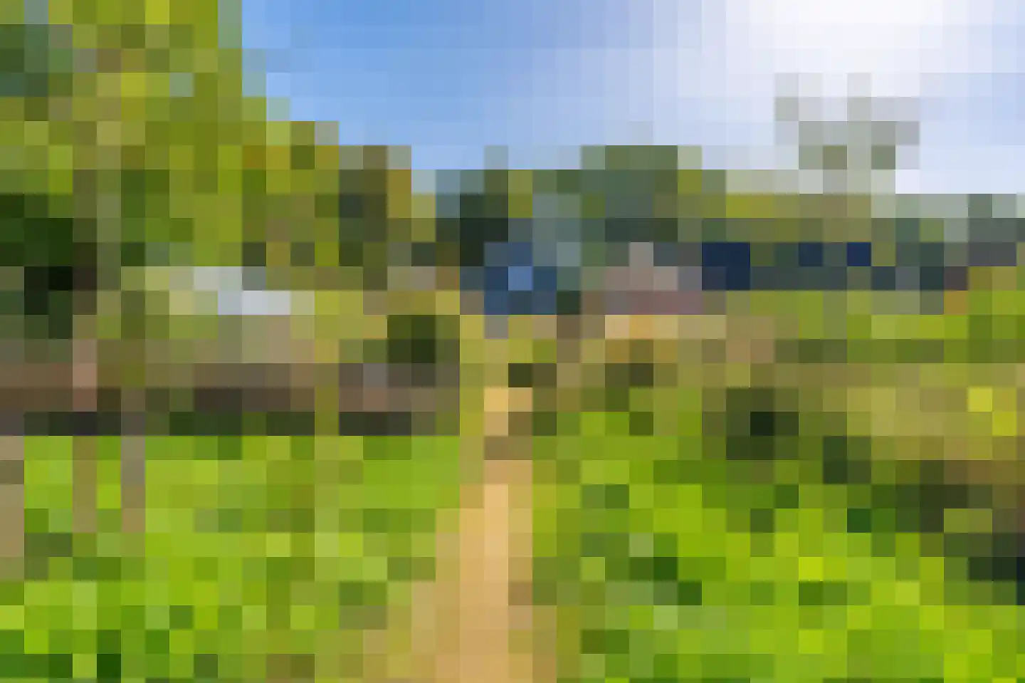 Hoofdweg 273 Bellingwolde thumbnail 22