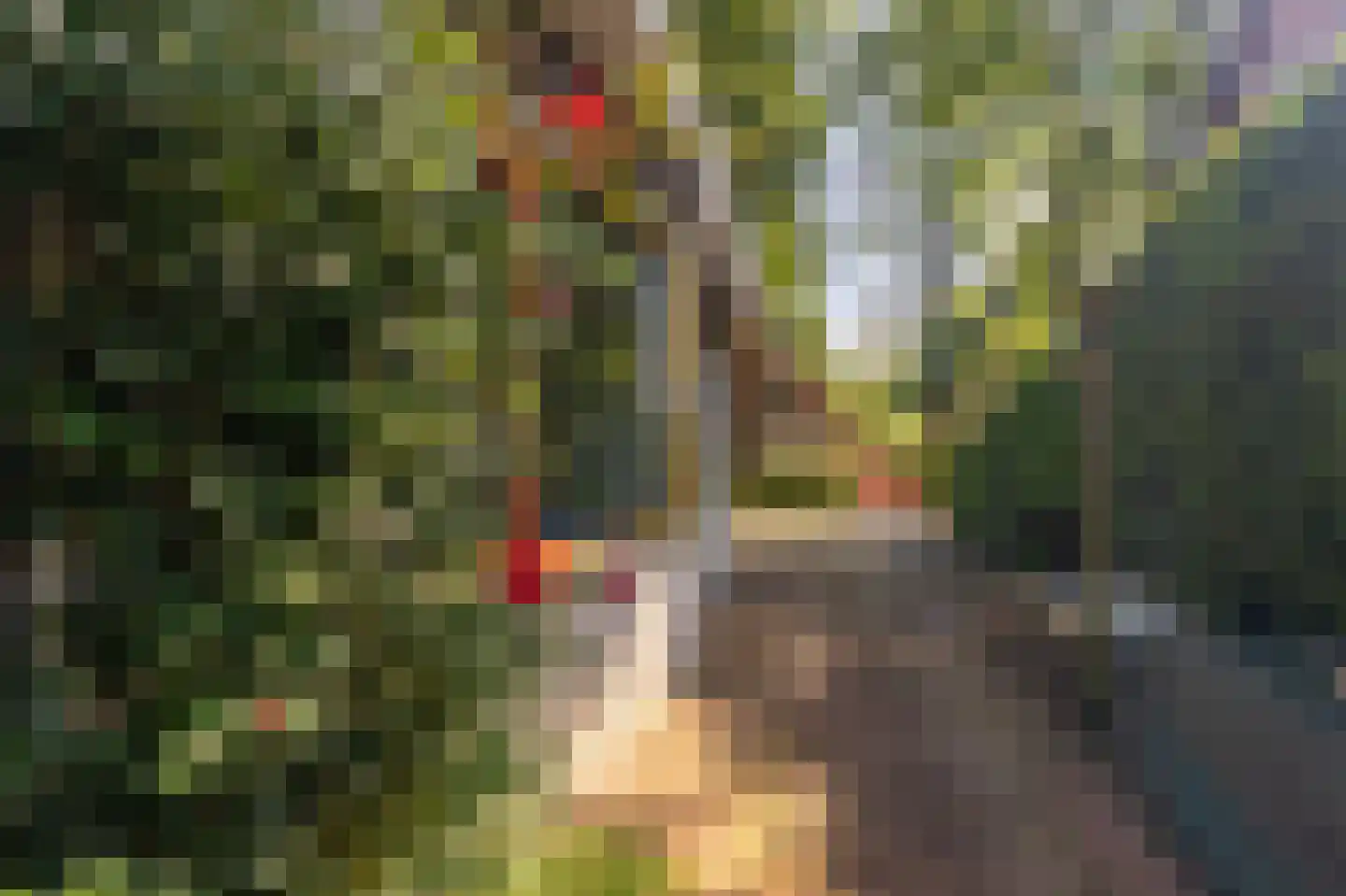 Hoofdweg 273 Bellingwolde thumbnail 26
