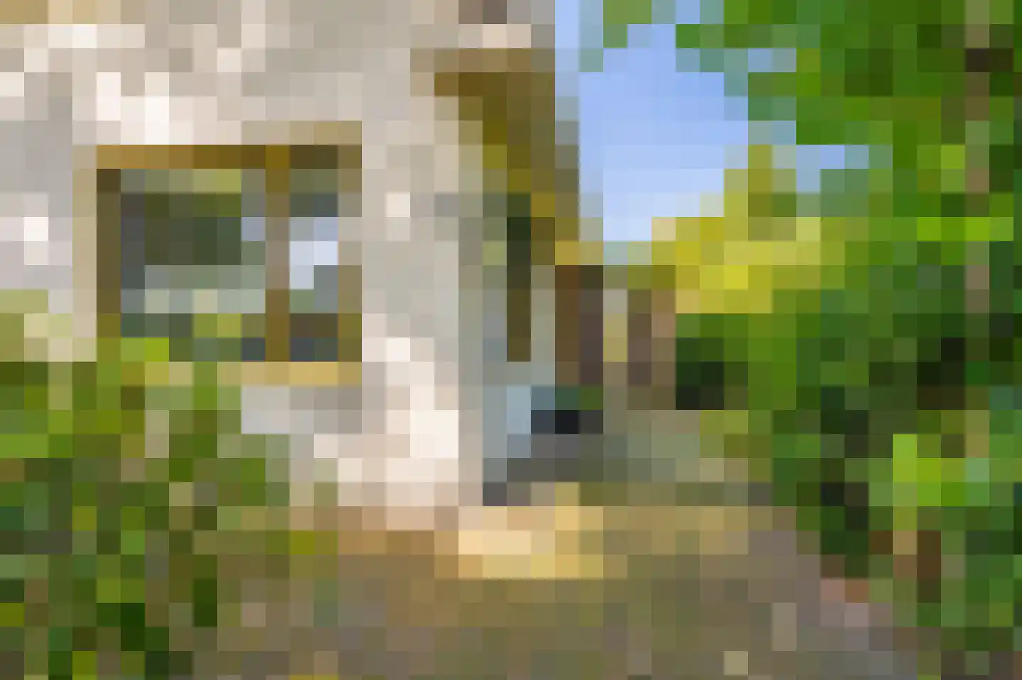 Hoofdweg 273 Bellingwolde thumbnail 27
