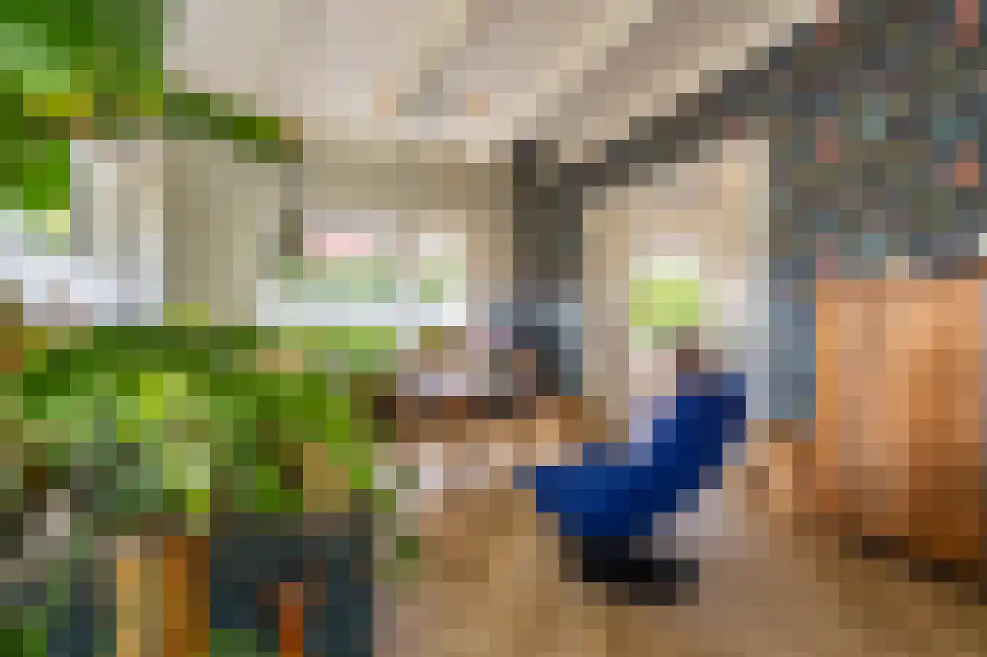 Hoofdweg 273 Bellingwolde thumbnail 33