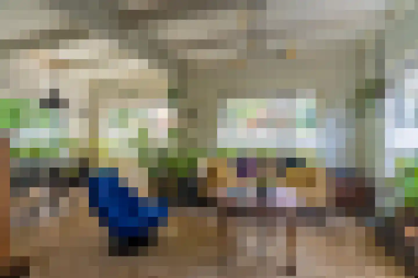 Hoofdweg 273 Bellingwolde thumbnail 36