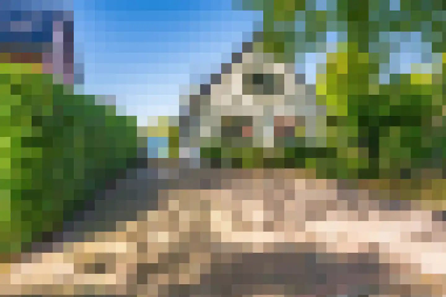 Hoofdweg 273 Bellingwolde thumbnail 5