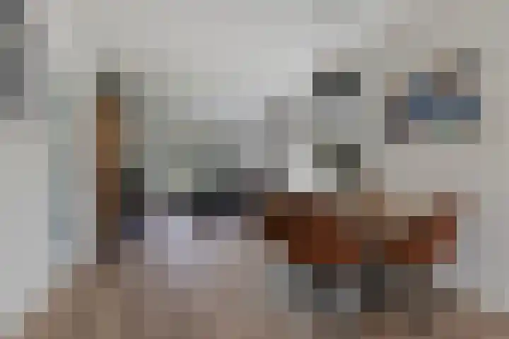 Hoofdweg 275 A Nijeholtpade thumbnail 12