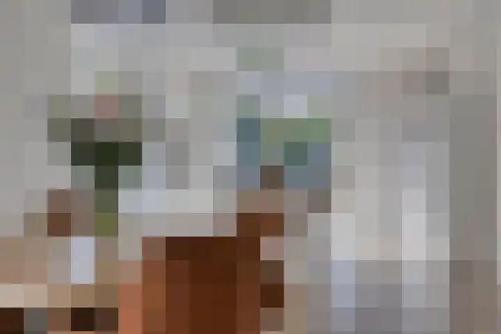 Hoofdweg 275 A Nijeholtpade thumbnail 13
