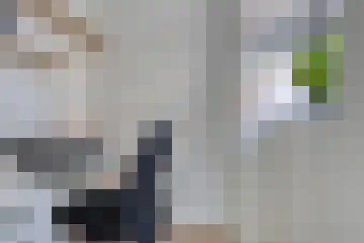 Hoofdweg 275 A Nijeholtpade thumbnail 18