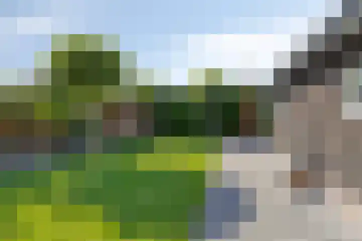 Hoofdweg 275 A Nijeholtpade thumbnail 33