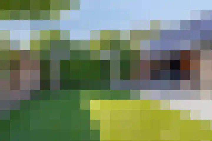 Hoofdweg 275 A Nijeholtpade thumbnail 34