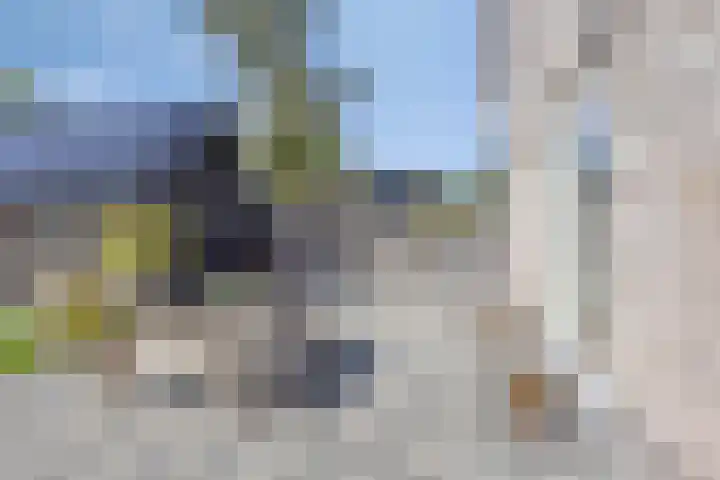 Hoofdweg 275 A Nijeholtpade thumbnail 40