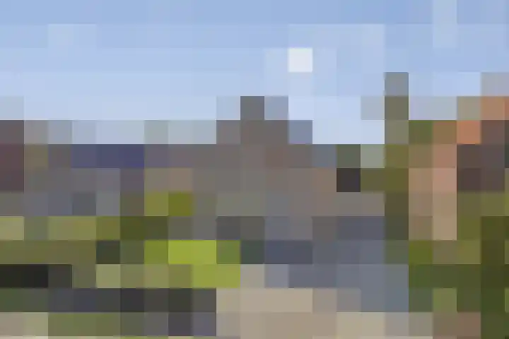 Hoofdweg 275 A Nijeholtpade thumbnail 42