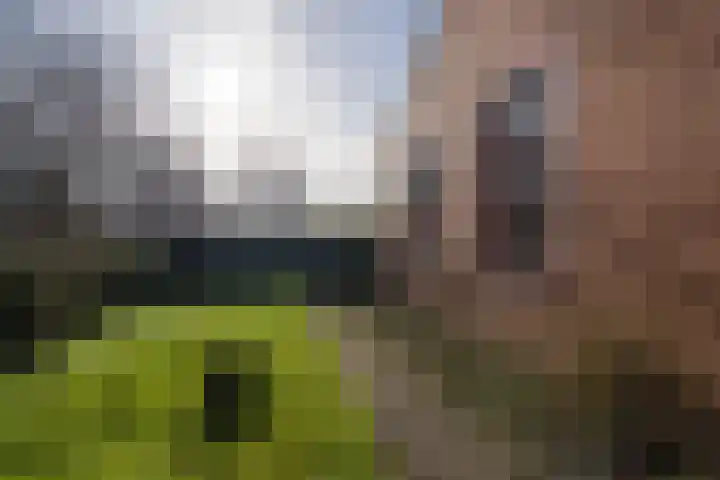 Hoofdweg 276 Midwolda thumbnail 33
