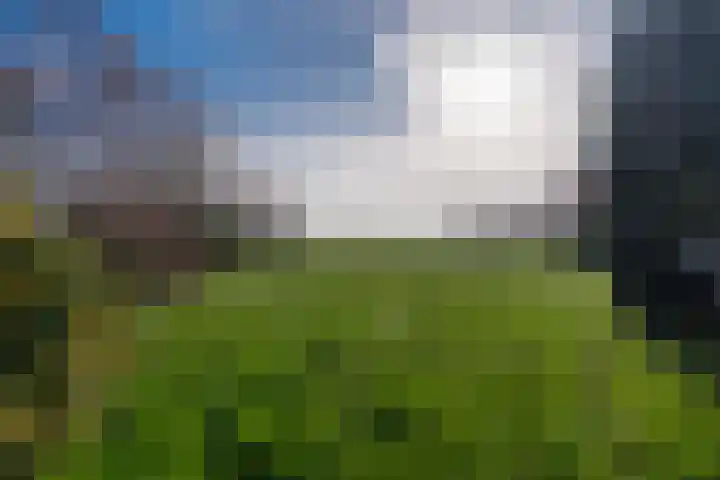 Hoofdweg 276 Midwolda thumbnail 34