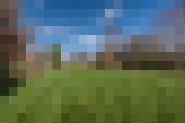 Hoofdweg 276 Midwolda thumbnail 35