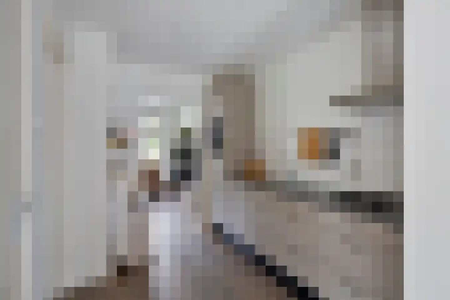 Hoofdweg 279 Nijeholtpade thumbnail 15