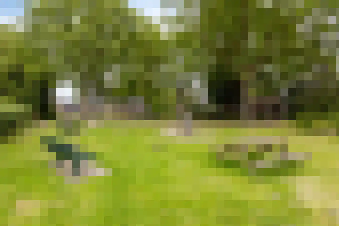 Hoofdweg 279 Nijeholtpade thumbnail 38