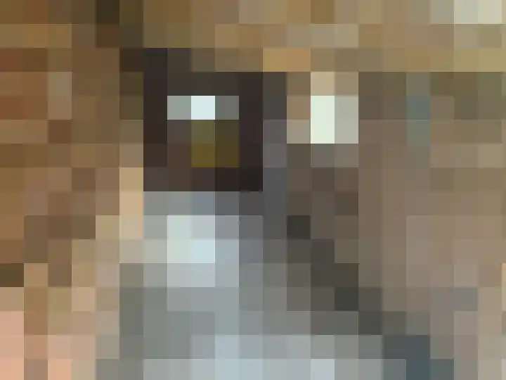 Hoofdweg 28 Zuurdijk thumbnail 12