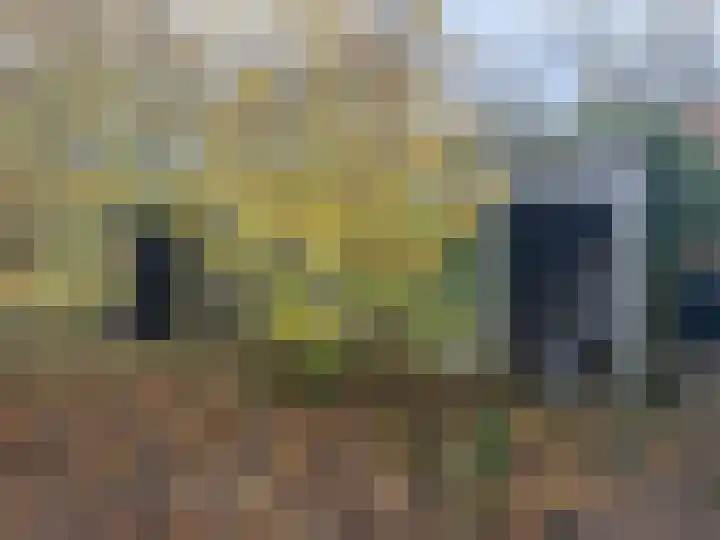 Hoofdweg 28 Zuurdijk thumbnail 13