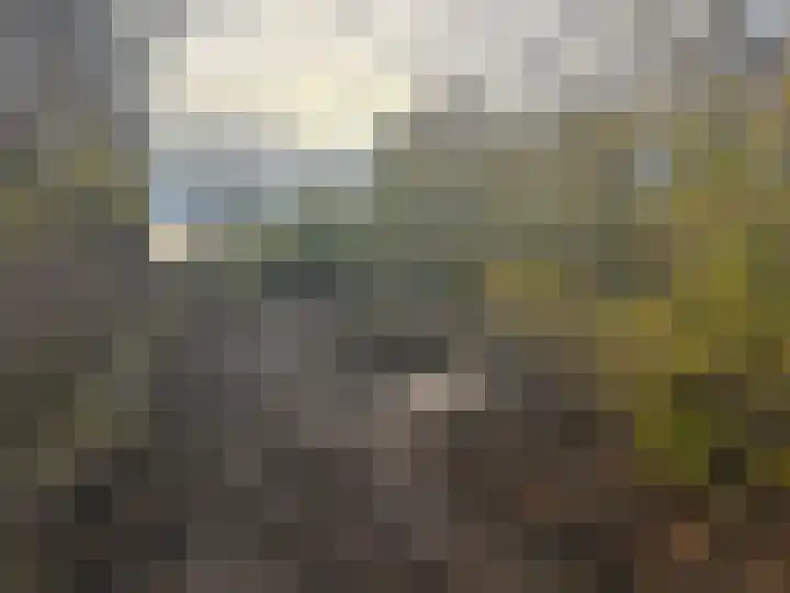 Hoofdweg 28 Zuurdijk thumbnail 16