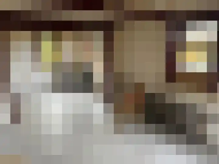 Hoofdweg 28 Zuurdijk thumbnail 7