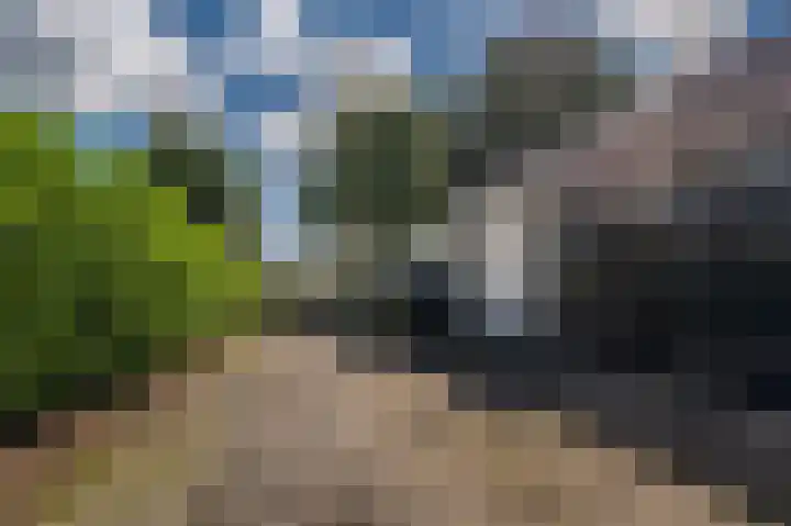 Hoofdweg 285 Bellingwolde thumbnail 10