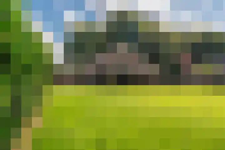 Hoofdweg 285 Bellingwolde thumbnail 12