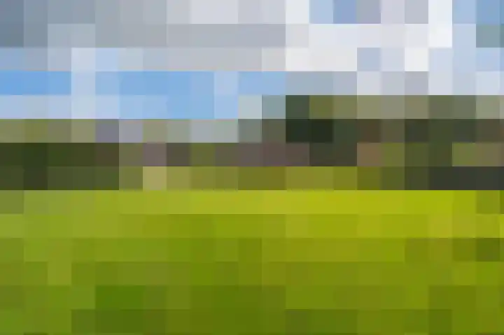 Hoofdweg 285 Bellingwolde thumbnail 13