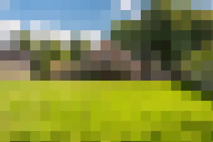 Hoofdweg 285 Bellingwolde thumbnail 14