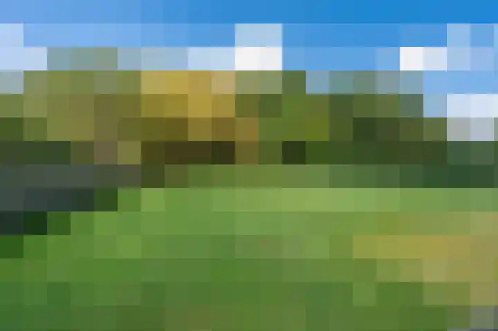 Hoofdweg 285 Bellingwolde thumbnail 15