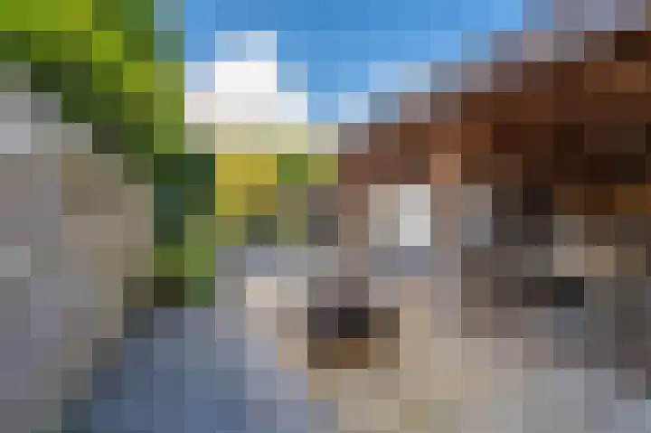 Hoofdweg 285 Bellingwolde thumbnail 19