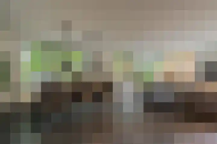 Hoofdweg 285 Bellingwolde thumbnail 25
