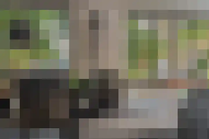 Hoofdweg 285 Bellingwolde thumbnail 27