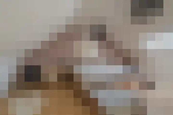 Hoofdweg 285 Bellingwolde thumbnail 34
