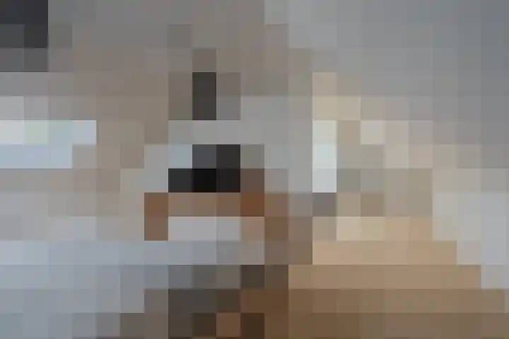 Hoofdweg 285 Bellingwolde thumbnail 35
