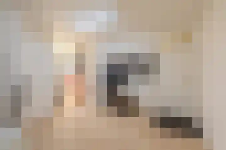 Hoofdweg 285 Bellingwolde thumbnail 46
