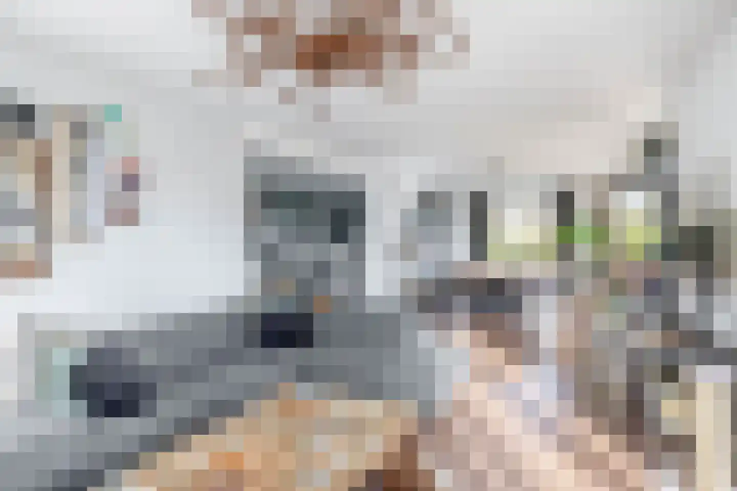 Hoofdweg 288 Capelle aan den IJssel thumbnail 14