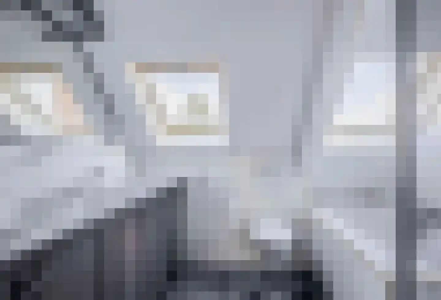 Hoofdweg 288 Capelle aan den IJssel thumbnail 35