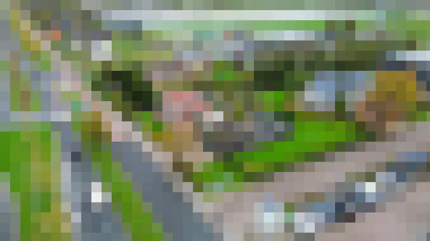 Hoofdweg 288 Capelle aan den IJssel thumbnail 43